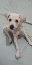 Nick