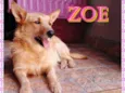 Zoe