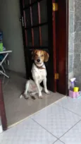 Paçoca