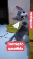 Sem nome