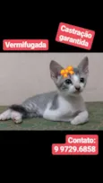 Sem nome