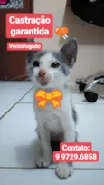 Sem nome
