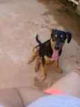 Gabi