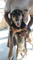 Gabi