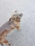 -