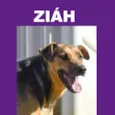 Ziáh