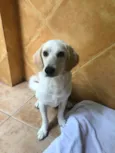 Théo