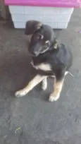Lila