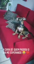 Pérola