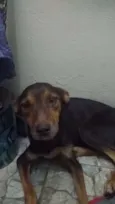 Bita