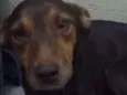 Bita
