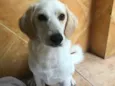 Théo