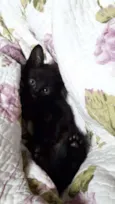 Cirilo