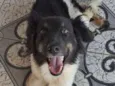 Júlia