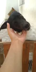 Luke
