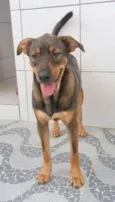 Tango