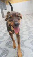 Tango