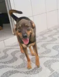 Tango