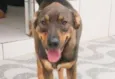 Tango