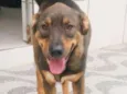 Tango