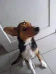 LUANA Princesa!
