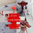 LUANA Princesa!