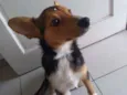 LUANA Princesa!