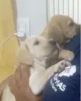 Kiko e Nina
