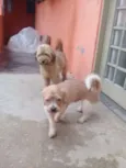 Billy e bob