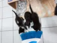 Encontradas