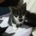 Encontradas