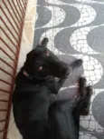 Pequeninos