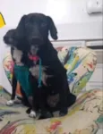Pretinha e Lara 