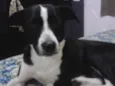 Toto 