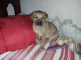 Marley