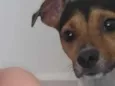 Bong