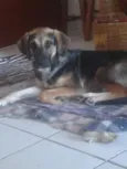 Dudu