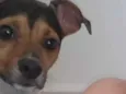 Bong