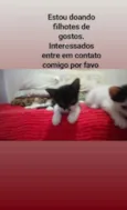 Sem nome