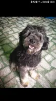 Bolinha