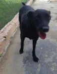 PEPI