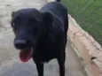 PEPI