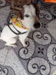 Théo