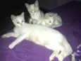 Marie,Bia e Floquinh