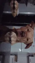 Baruki