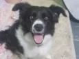 Mel