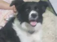 Mel