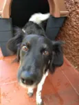 Julia