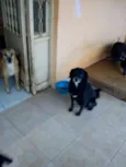 Sid