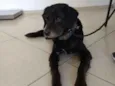 Sid